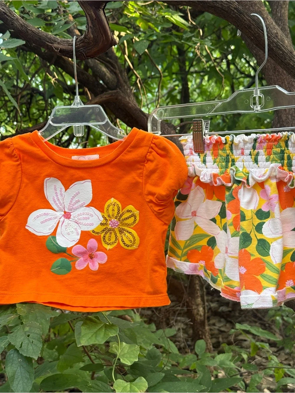 Peek this vibrant
